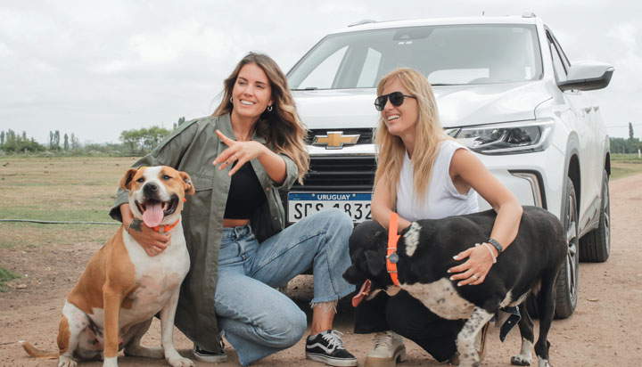 ANIMALES SIN HOGAR Y GENERAL MOTORS URUGUAY SE UNEN
